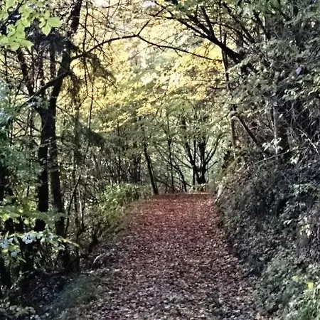 Les Esserennes * Bouvante